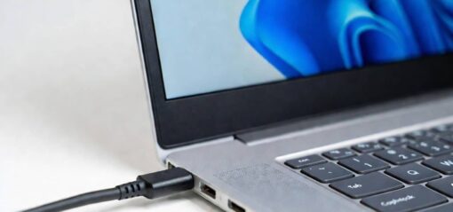 Chargeur USB-C sur un PC portable Windows 11 (Crédit : Alex.I)