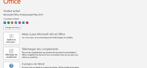 Page d’information produit Office 2019 : produit activé (Crédit : Office 2019 Pro)