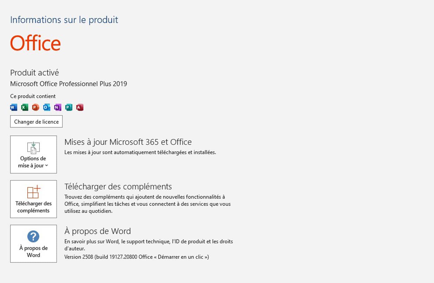 Page d’information produit Office 2019 : produit activé (Crédit : Office 2019 Pro)